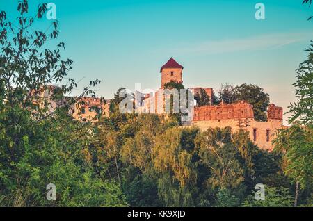 Schöne Burgruine. tenczyn Schloss in rudno, Polen. Stockfoto