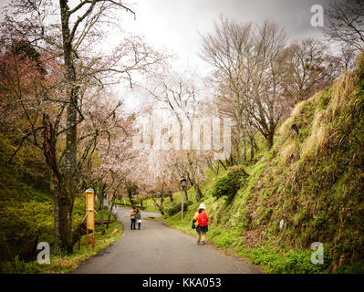 Nara, Japan - Apr 4, 2014 Menschen zu Fuß auf yoshino Berg am Frühling in Nara, Japan. yoshino Berg ist berühmt für seine vielen Tausenden Sakura-bäume Stockfoto