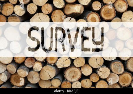 Konzeptionelle Ankündigung Text Inspiration zeigt Umfrage Business Concept for Opinion Feedback Research Concept auf hölzernem Hintergrund wi Stockfoto