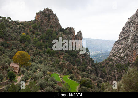 Anzeigen von biniaraix Schlucht und Soller Tal der Serra de Tramuntana Gebirge umgeben. Mallorca, Spanien Stockfoto