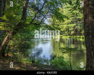 Mersey River, Kejimkujik National Park, Nova Scotia, Kanada. Stockfoto