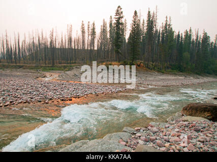 Sonnenuntergang über dem Zusammenfluss der South Fork des flathead River und verlor Jack Creek am Meadow creek Gorge in der Bob Marshall Wilderness komplexe du Stockfoto