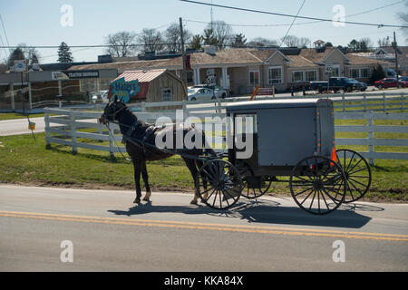 Amish buggy Lancaster PA Stockfoto