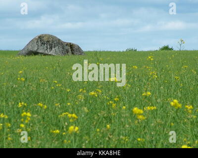 Brownshill dolmen Eine megalithische Portal Grab in der Grafschaft Carlow, Irland. Stockfoto