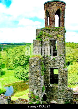 Blarney Castle in der Nähe von Cork, Irland Stockfoto