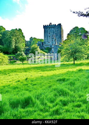 Blarney Castle in der Nähe von Cork, Irland Stockfoto