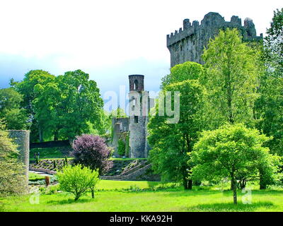 Blarney Castle in der Nähe von Cork, Irland Stockfoto