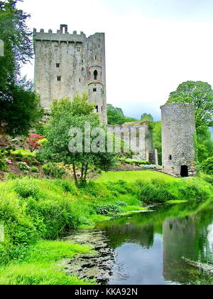 Blarney Castle in der Nähe von Cork, Irland Stockfoto