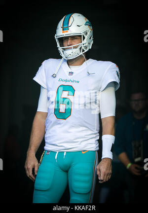 Miami Gardens, Florida, USA. 29 Nov, 2017. Miami Dolphins quarterback Jay Cutler (6) im Hard Rock Stadion in Miami Gardens, Florida am 19. November 2017. Credit: Allen Eyestone/der Palm Beach Post/ZUMA Draht/Alamy leben Nachrichten Stockfoto