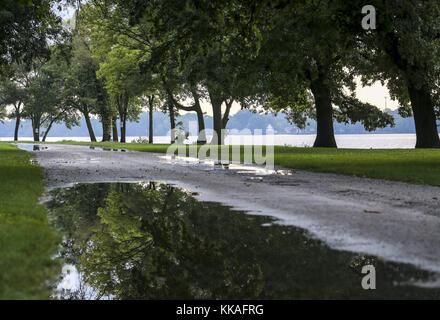 Hampton, Iowa, USA. August 2017. Eine Pfütze nimmt am Mittwoch, den 2. August 2017, eine Spiegelung der Baumspitzen nach einem starken Regen auf dem Illiniwek Campground in Hampton, Illinois, auf. Kredit: Andy Abeyta, Quad-City Times/Quad-City Times/ZUMA Wire/Alamy Live News Stockfoto