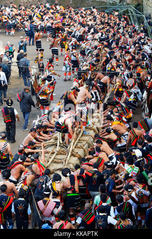 Stein ziehen Zeremonie, während kisima Nagaland hornbill Festival, kohima, Nagaland, Indien, Asien Stockfoto