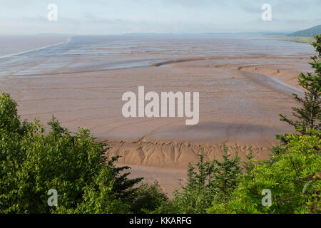 Wattenmeer, von Hopewell Felsen gesehen, in der Bucht von Fundy, der Ort, an dem sich die höchsten Gezeiten der Welt, New Brunswick, Kanada, Nordamerika Stockfoto