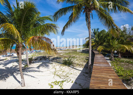 Cayo Levisa, Provinz Pinar del Rio, Kuba, Karibik, Karibik, Zentral- und Lateinamerika Stockfoto