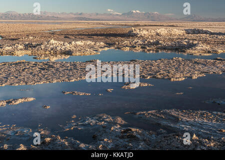 Salz Rückstände angehäuft, die Laguna Chaxa, Atacama Salt Flats, mit schneebedeckten Vulkanen, in der Nähe von San Pedro de Atacama, Chile, Südamerika Stockfoto