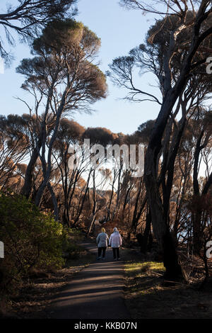 Australien, Eden, Gum Trees, New South Wales, ältere Damen, Bewegung, frische Luft, Gesundheit, Natur, Bummeln Stockfoto