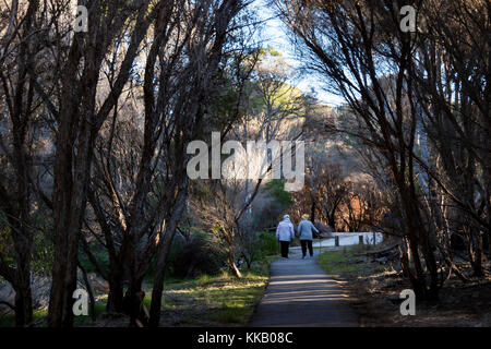 Australien, Eden, Gum Trees, New South Wales, ältere Damen, Bewegung, frische Luft, Gesundheit, Natur, Bummeln Stockfoto