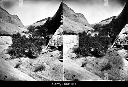 Stereograph zeigt die Landschaft einer Seite Schlucht in Glen Canyon, Utah. Bild mit freundlicher Genehmigung durch USGS. 1875. Stockfoto