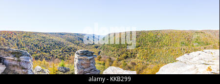 Panorama von Canaan Valley Berge im Blackwater Falls State Park in West Virginia während der Bunte Herbst Herbst Jahreszeit mit gelbem Laub auf den Bäumen, r Stockfoto