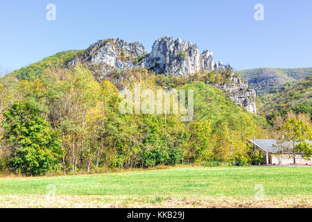 Anzeigen von Seneca Rocks aus Visitor Center im Herbst, goldgelbe Laub auf den Bäumen im Wald, Wiese wiese gras, Gebäude Stockfoto