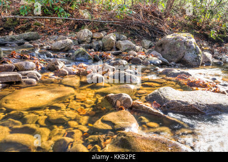 Nahaufnahme des seichten Rock Stream mit fließendem Wasser im Herbst mit rot orange Blatt Laub auf Steine, Glanz Stockfoto