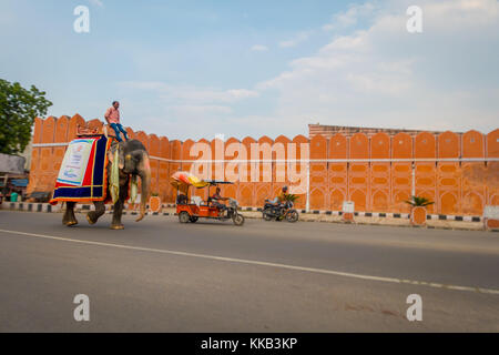 Jaipur, Indien - 20. September 2017: unbekannter Mann reiten ein riesiger Elefant mit Farben in Jaipur, Rajasthan, Indien Stockfoto