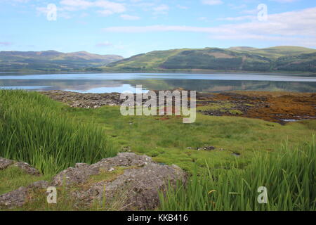 Blick über Loch Scridain, Isle of Mull, im Sommer, mit Spiegelungen im Wasser und Flechten bedeckte Felsen im Vordergrund. Stockfoto