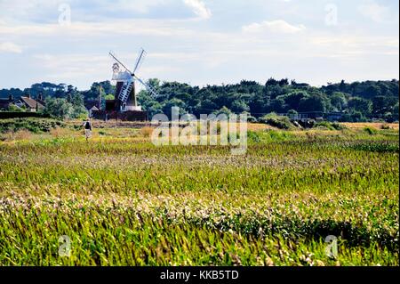 Norfolk Coast Path aka Peddars Weise. Röhrichten und Windmühle im Dorf von Cley Norfolk Erbe Nordküste nächstes Meer Stockfoto