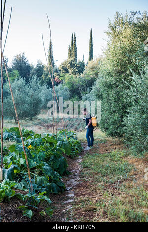 Tuscany, Italien - 26. Juli 2016: WWOOFer sprüht natürliche Mikroorganismen auf den Garten, Tenuta di Spannocchia. Stockfoto