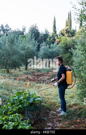 Tuscany, Italien - 26. Juli 2016: WWOOFer sprüht natürliche Mikroorganismen auf den Garten, Tenuta di Spannocchia. Stockfoto