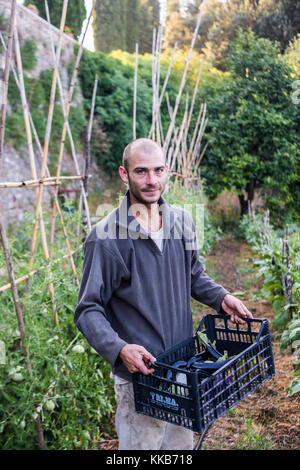 Tusany, Italien - 26. Juli 2016: Bauern ernten Gemüse auf einem Bio-bauernhof. Tenuta di spannocchia. Stockfoto