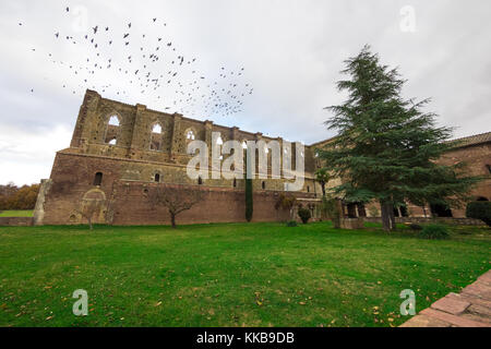 Abtei von Saint Galgano (Italien) - ein altes katholisches zisterzienserkloster in einem abgelegenen Tal der Provinz Siena in der Toskana. Danach brach das Dach zusammen Stockfoto