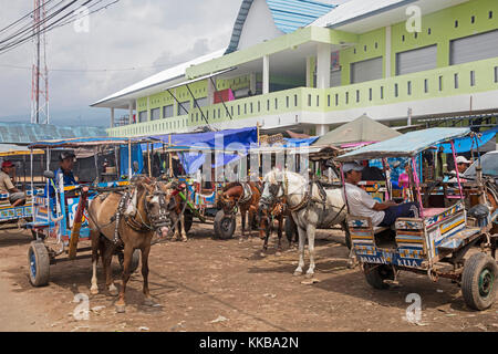 Pferdekutschen-/Personenbeförderung für den öffentlichen Verkehr in der Stadt labuhan Lombok/Gili Trawangan kayangan auf der Insel Lombok, Indonesien Stockfoto