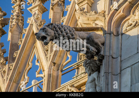 Der Löwe - Der Mailänder Dom ist bestreut mit 3400 Statuen und mehr als 700 Abbildungen in der hohen Reliefs von Marmor Stockfoto