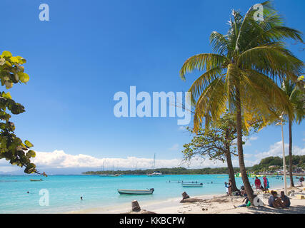 Tropischen Strand von Sainte Anne - Karibik - Guadeloupe tropischen Insel. Stockfoto