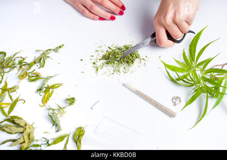 Girl smashing Marihuana treibt mit Schere, Ansicht von oben Stockfoto