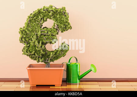 Euro grünes Symbol im Blumentopf mit Gießkanne. 3D-Rendering Stockfoto