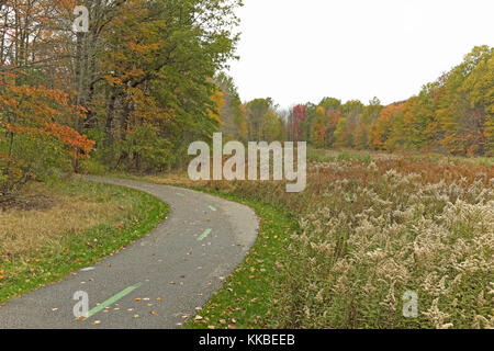 Das riesige Cleveland Metroparks Park System umfasst die North Chagrin Reservation, wo die Herbstfarben ihre November Brillanz zeigen. Stockfoto