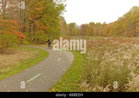 Das riesige Cleveland Metroparks Park System umfasst die North Chagrin Reservation, wo die Herbstfarben ihre November Brillanz zeigen. Stockfoto