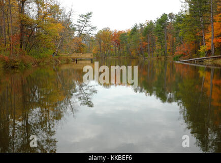 Das riesige Cleveland Metroparks Park System umfasst die North Chagrin Reservation, wo die Herbstfarben ihre November Brillanz zeigen. Stockfoto