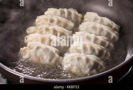 Japanische Gyoza-teigtaschen in einem Topf gekocht werden. Stockfoto