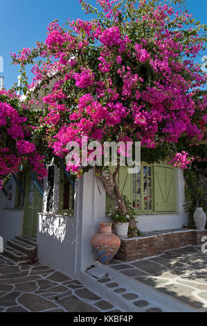 Shop mit traditioneller Architektur in Chora, Kythnos Stockfoto