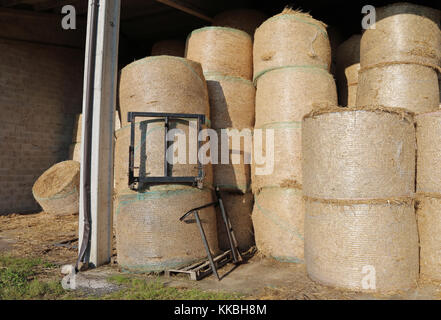 Heuballen im Bauernhaus Store verwendet die Tiere auf dem Bauernhof zu füttern Stockfoto