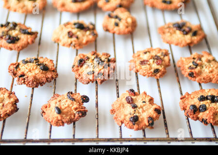 Frisch gebackene Oatmeal cookies Stockfoto