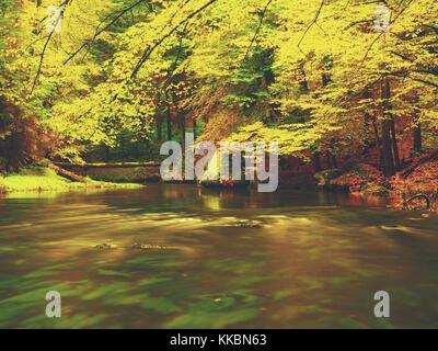 Lebendige Herbst. Farben der herbstlichen Fluss im Wald. Farbenfrohe Banken mit Blätter, Blätter Bäume gebeugt über dem Fluss. Stockfoto