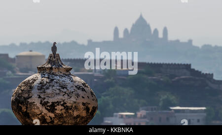 Taube gegen Umaid Bhawan Palace, Jodhpur, Rajasthan, Indien Stockfoto