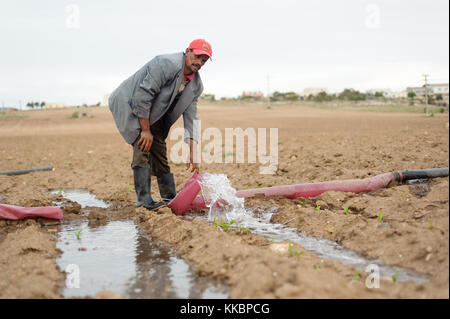 Alter Mann loslassen traditionelle Bewässerung Wasser Stockfoto