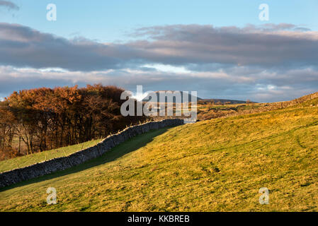 Ein Herbst, der Pen-y-Ghent Hill aus langcliffe gesehen in der Nähe von Settle, North Yorkshire, Großbritannien Stockfoto