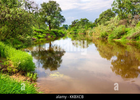 Feder der ländlichen Landschaft mit Fluss, Wald. Reflexion im Fluss Stockfoto