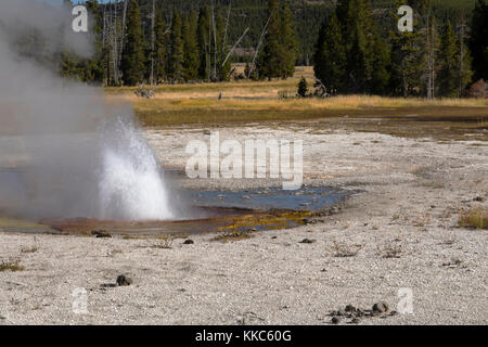 Rusty Geysir thermische Funktion in biscuit Geyser Basin, Yellowstone National Park Stockfoto