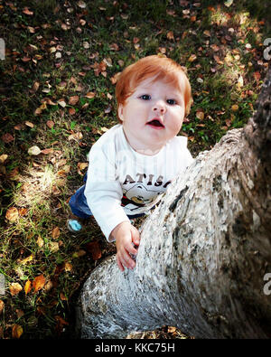 Süße kleine Baby mit Ingwer Haar, blaue Augen und öffnete den Mund, Birke, von unten nach oben im Herbst Hintergrund. Stockfoto